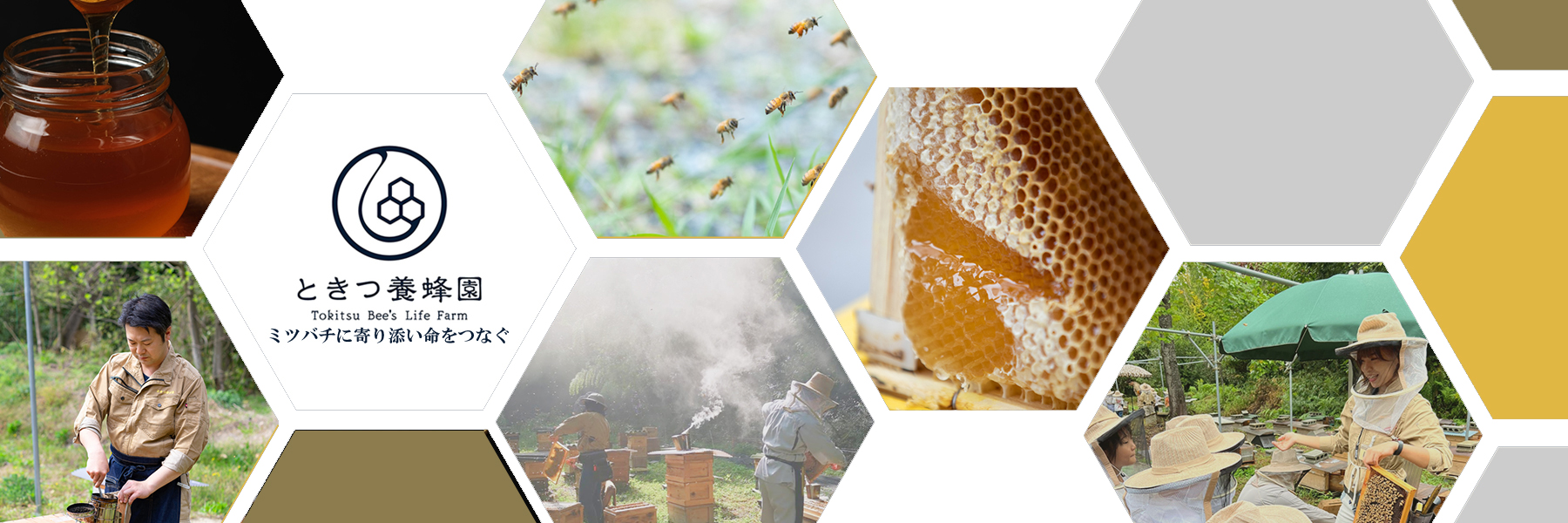 送料200円■se664■◎ときつ養蜂園Bee's life はちみつ3個セット 5点【シンオク】 ミツバチに寄り添い地球の生命をつなぐ | ときつ養蜂園 Bee\u0027s Life