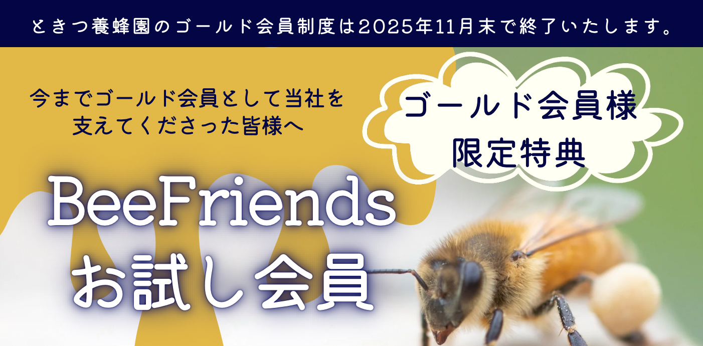 BeeFriendsお試し会員