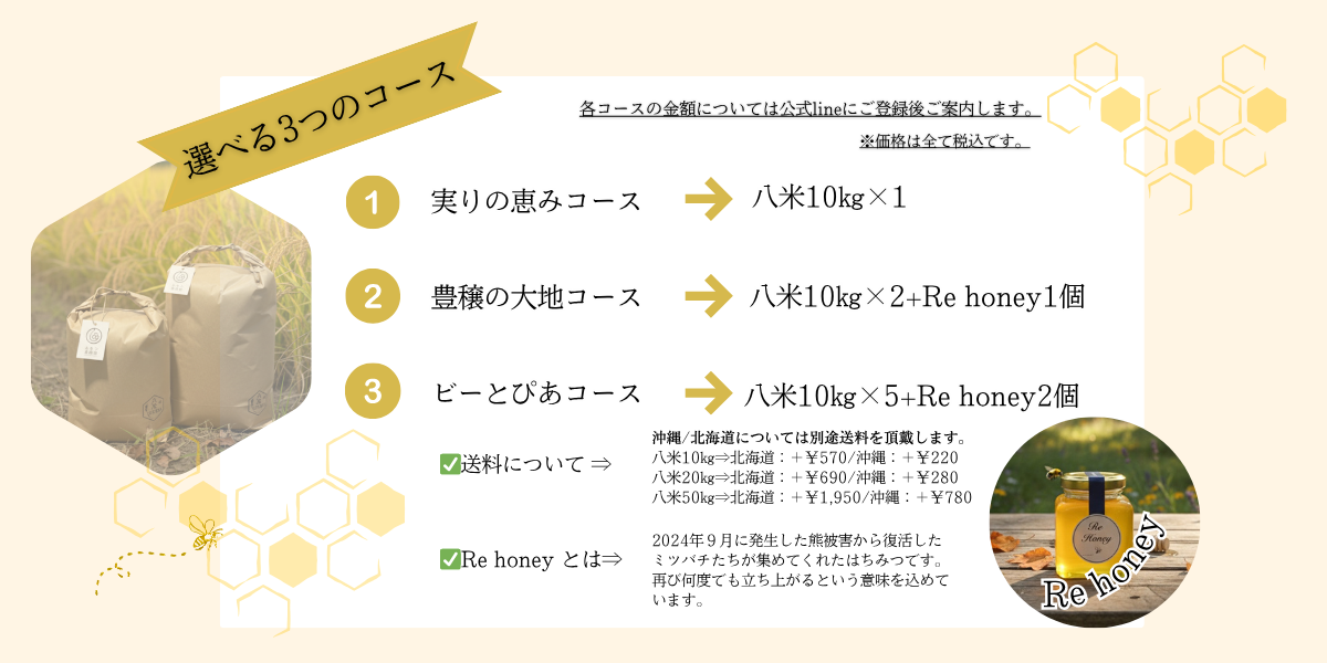 選べる3つのコース