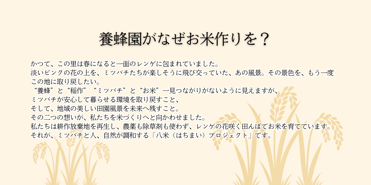 養蜂園がなぜお米作りを？