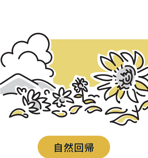 送料200円■se664■◎ときつ養蜂園Bee's life はちみつ3個セット 5点【シンオク】 ミツバチに寄り添い地球の生命をつなぐ | ときつ養蜂園 Bee\u0027s Life